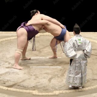 相撲界